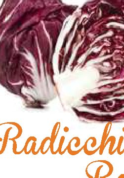 Radicchio Rosso