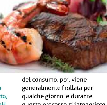 Perché il pesce va a male prima della carne?
