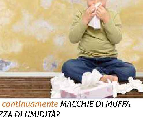 Perché a casa ho continuamente macchie di muffa sulle pareti e puzza di umidità?