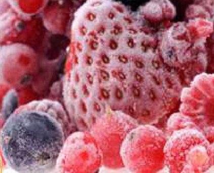 Si può congelare ogni tipo di cibo?