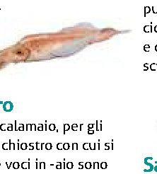 Da dove viene il nome…?