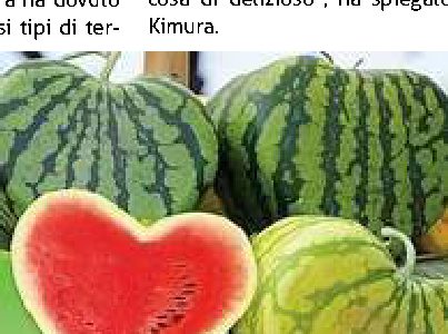 Anguria a forma di cuore