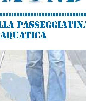 Anche i pesci hanno diritto alla passeggiatina quotidiana con la carrozzina aquatica