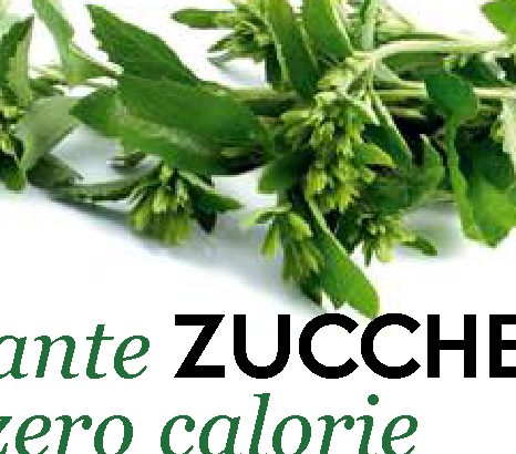 Piante zuccherine a zero calorie