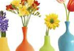 Per i fiori recisi