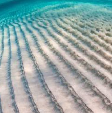 Perché sul fondo marino si formano delle onde di sabbia?