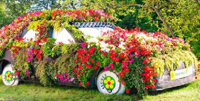 Pulizie di primavera in auto