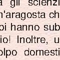 Banditi armati di serpenti