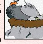 Un'aquila sequestra una radio