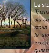 Prossimamente a noleggio