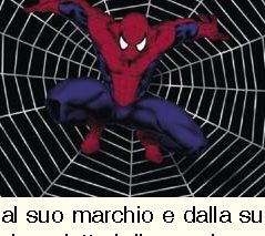 Nella tela del ragno