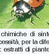 Cos'è l'agricoltura biologica