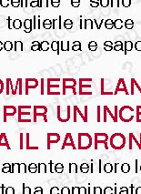 Gatto pompiere lancia l'allarme per un incendio e salva il padrone