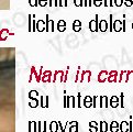Ladro ruba un cellulare ma scappa via con un orecchio in meno
