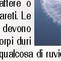 Perché le meduse muoiono in poche ore dentro un acquario?