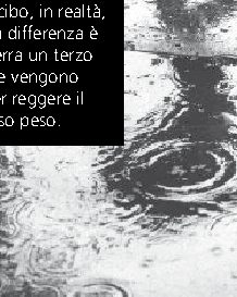 Piove di più di giorno o di notte?