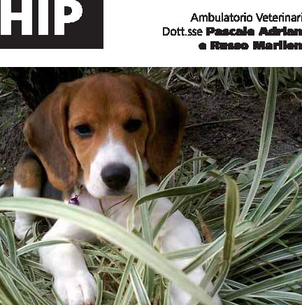 Utilità del microchip