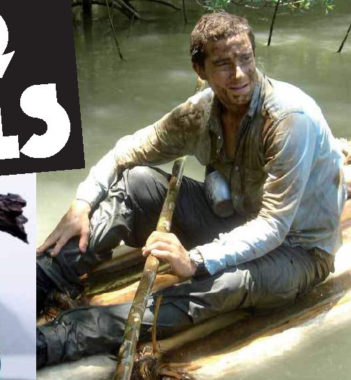 Bear Grylls
