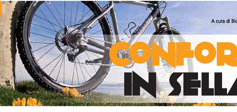 Confort in sella