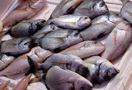 La salute che viene dal mare