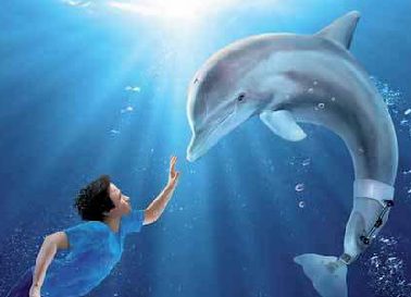 L'incredibile storia di Winter il delfino