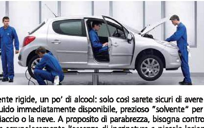 Manutenzione invernale