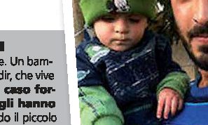 Israele, un bambino divora un serpente a morsi