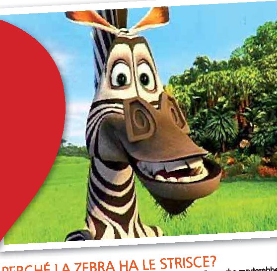 Perché la zebra ha le strisce?