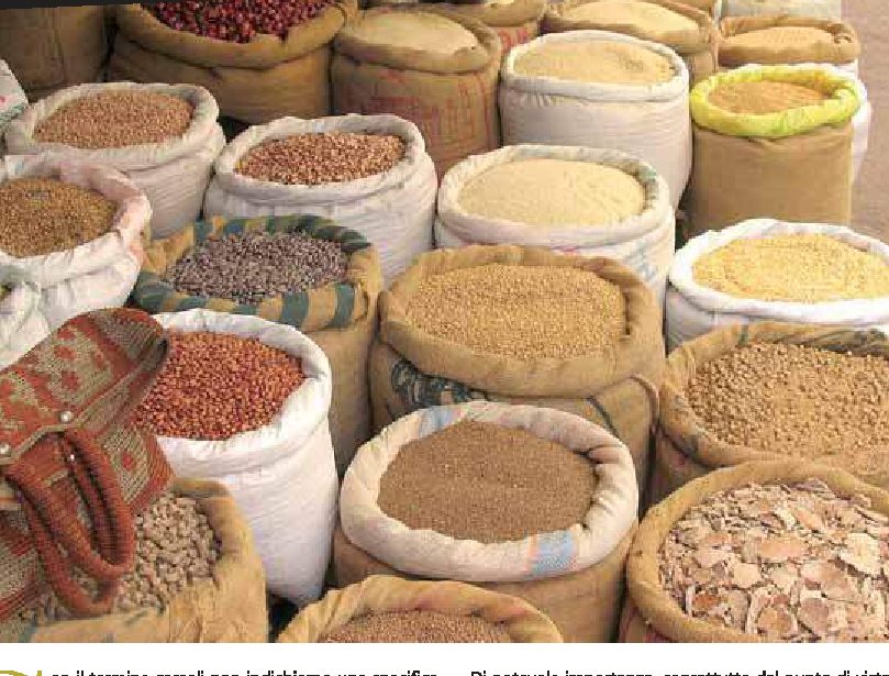 Cosa si intende per cereali? Quali sono le loro proprietà nutrizionali?