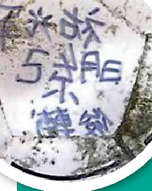 Tsunami: pallone giapponese ritrovato in Alaska