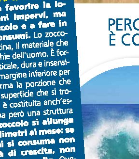 Perché l'acqua marina è così ricca di sale?