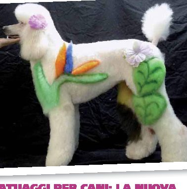 Tatuaggi per cani: la nuova moda che arriva dall'America
