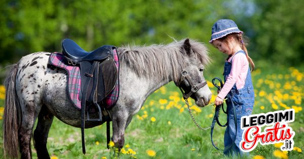 Sai perché si dice 'stare a cavallo'?