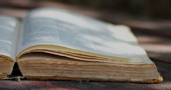 Uguali ma Diversi: Vocabolario e Dizionario