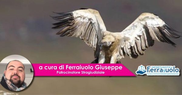 Sanzionato l'avvocato che invia le condoglianze
