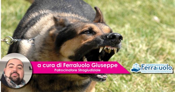 Aggressione di un cane ai danni di un bambino
