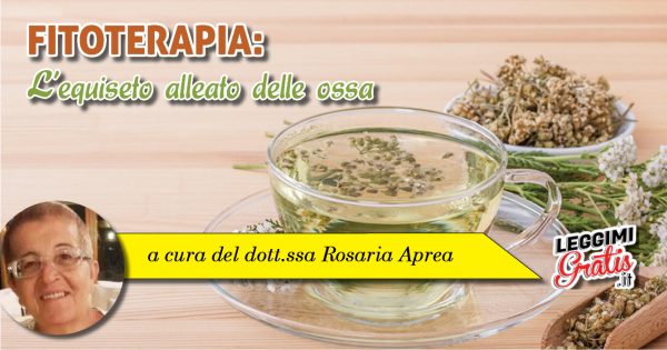 Fitoterapia: L'equiseto alleato delle ossa
