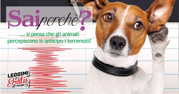 Sai perché si pensa che gli animali percepiscono in anticipo i terremoti?