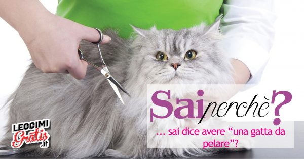 Sai perché si dice ''avere una gatta da pelare''?