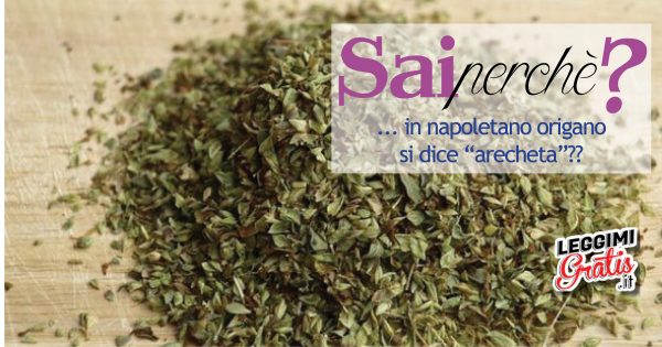 Perché in napoletano origano si dice "arecheta"?