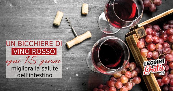 Un bicchiere di vino rosso  ogni 15 giorni migliora la salute dell'intestino