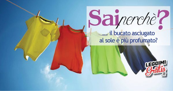 Perché  il bucato asciugato al sole è più profumato?