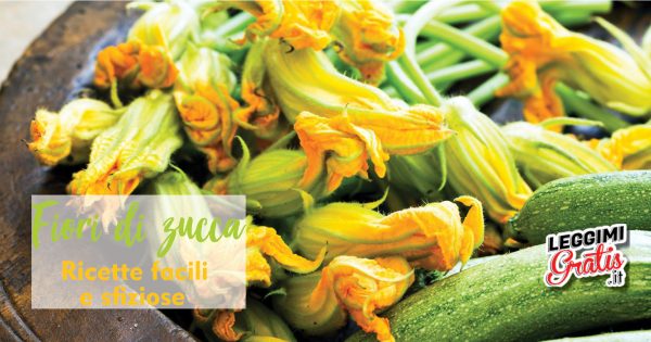 Fiori di zucca Ricette facili e sfiziose