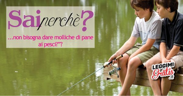 Perché  non bisogna dare molliche di pane  ai pesci?