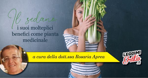 Il sedano - i suoi molteplici benefici come pianta medicinale
