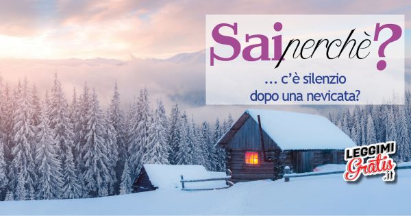 Perché c'è silenzio dopo una nevicata?