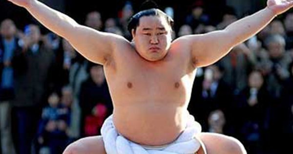 Sai perché i lottatori di sumo sono così imponenti?